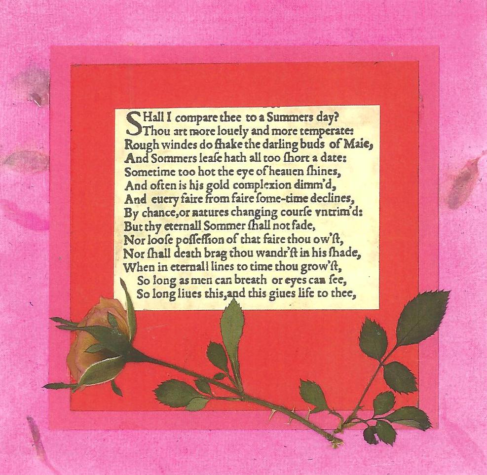 August Craft Sunflower